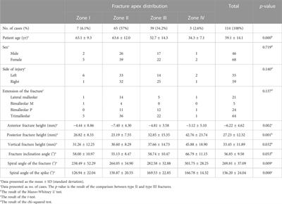 Three-dimensional morphological study of type B lateral malleolar fractures with special reference to the end-tip location of proximal apexes